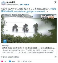 【北海道】六花亭 カステラにカビ 約３４００本を自主回収へのイメージ画像