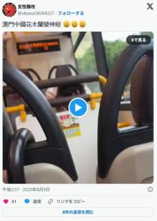 バスの中で発狂する中国のおばさんが面白い