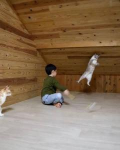 屋根裏で子どもと猫が行う謎の儀式……シュールな光景に吹き出す人続出のイメージ画像