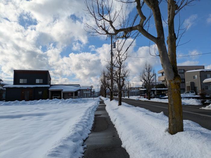 並木道と雪のイメージ画像