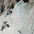 <strong>地球上の海氷面積が観測史上最小に</strong> 衛..