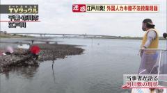 たけし、中国人による江戸川カキ殻の大量不法投棄「採っちゃいけないというふうにしないの？」のイメージ画像