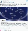 【福井】量販店購入の刺し身でアニサ..