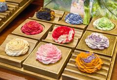 花見人気が「春の経済」を盛り上げる―中国のイメージ画像