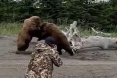 2頭の巨大なクマが観光客の前で格闘、その様子が大迫力【動画】