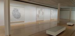 箱根ポーラ美術館の展示室のイメージ画像