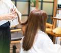 ヘアサロン「フラー」のほか カフェやセレクトショップも営んでいた『LIFE KNOWLEDGE』が破産　新潟市中央区
