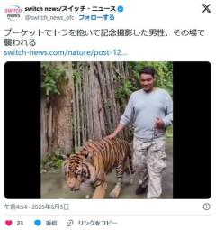 プーケットでトラと記念撮影した男、その場で襲われた動画が恐ろしいのイメージ画像