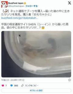 学生「SHEINでブーツ買ったら生きのいいサソリ（毒入り）が入ってた」 イギリス