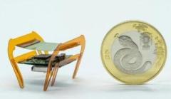 電子科技大学が「電子ゴキブリ」軟体マイクロロボットを開発―中国メディア