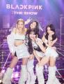 BLACKPINK、お揃いの迷彩柄パーカー姿が..