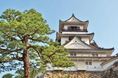 台湾旅行市場に変化Z世代がけん引する海外旅行ブーム、訪日熱続くイージートラベルが2025年の旅トレンドを発表