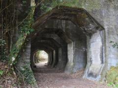 熊本県美里町の八角トンネルのイメージ画像