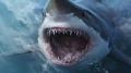 人を襲う“巨大サメ”川で釣れる いるはずないのに…一体なぜ?