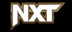 NXTバトルグラウンドがUFCの会場で開催かのイメージ画像