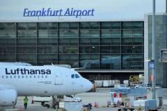 ドイツの空港で職員がマラリアに感染、2人が死亡のイメージ画像
