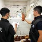 マカオ税関が中国ボーダーに近い工業ビル内に開設された運び屋への密輸品供給店摘発…活ロブスター約375キロ押収のイメージ画像