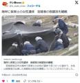 【宮城】岩沼市の海岸に保育士（35）..