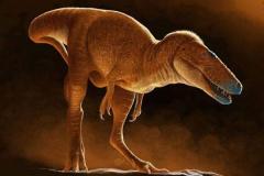 モンゴルで発見された化石、T-Rexと近縁関係にある新種の恐竜と判明のイメージ画像