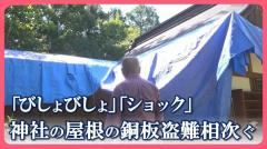 「治安悪すぎ」「ひどすぎる」 寺社で相次ぐ金属盗難 「今年になって再び」市担当者が語る被害の実態のイメージ画像