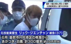 桃窃盗未遂などの罪 中国籍の元技能実習生に執行猶予付き判決 笛吹市のイメージ画像