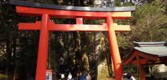 箱根神社入口のイメージ画像