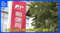 日本郵便 5月の間に29件の酒気帯び運転などを確認 配達前の点呼が適切に行われていなかった問題