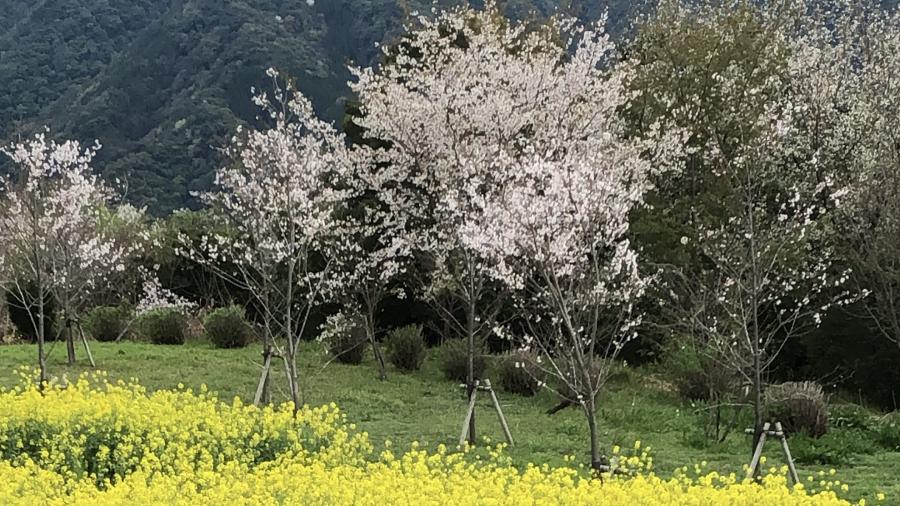 花立公園のイメージ画像