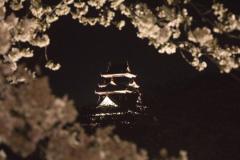 岡山城のイメージ画像
