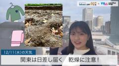 関東は日差し届く乾燥に注意！のイメージ画像
