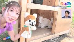 黒田菜月、NHKニュースーンで胸チラ