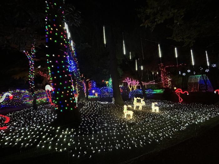 こどもの国のイルミネーションのイメージ画像