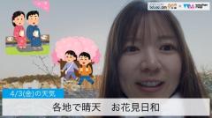 各地で晴天お花見日和