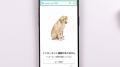 Amazonエラー時の犬を見るには？「ペー..