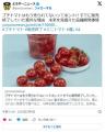 【野菜】プチトマトはもう売られてな..