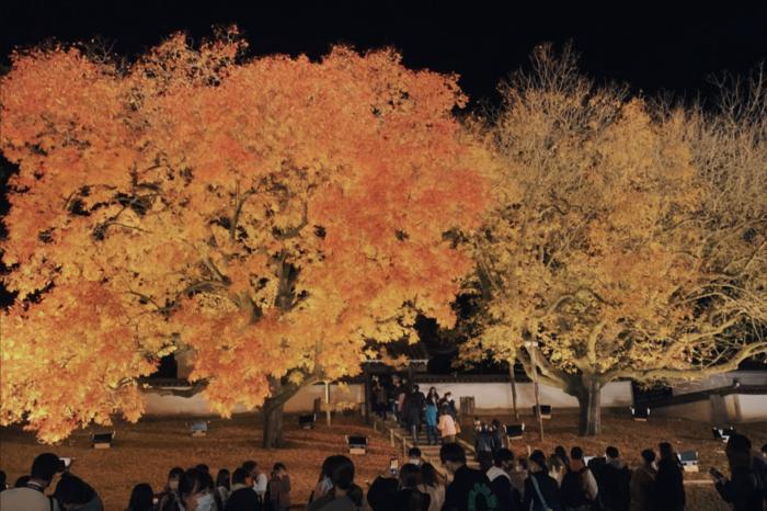 もみじが色づく旧閑谷学校のイメージ画像