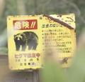 猟友会がクマの駆除辞退 「この報酬ではやってられない」「ハンターを馬鹿にしている」北海道奈井江町