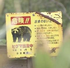 猟友会がクマの駆除辞退 「この報酬ではやってられない」「ハンターを馬鹿にしている」北海道奈井江町のイメージ画像