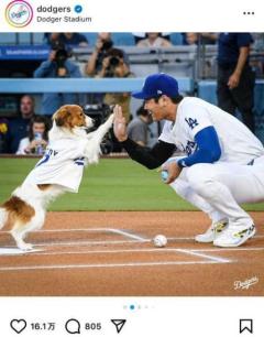 大谷選手と息ピッタリ！デコピン始球式大成功史上2人目「42－42」到達！のイメージ画像