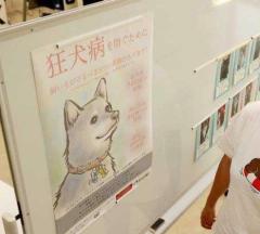 狂犬病予防接種 宮崎県内低迷 まん延防止最低ラインの７割のイメージ画像