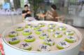 中国産抹茶の楽しみ方いろいろ、Z世代..
