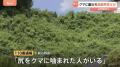 「痛いと思って見たらクマ」栃木・那須塩原でクマ被害相次ぐ 男性(85)が襲われ軽傷 3キロ離れた山林では77歳男性がかまれケガ
