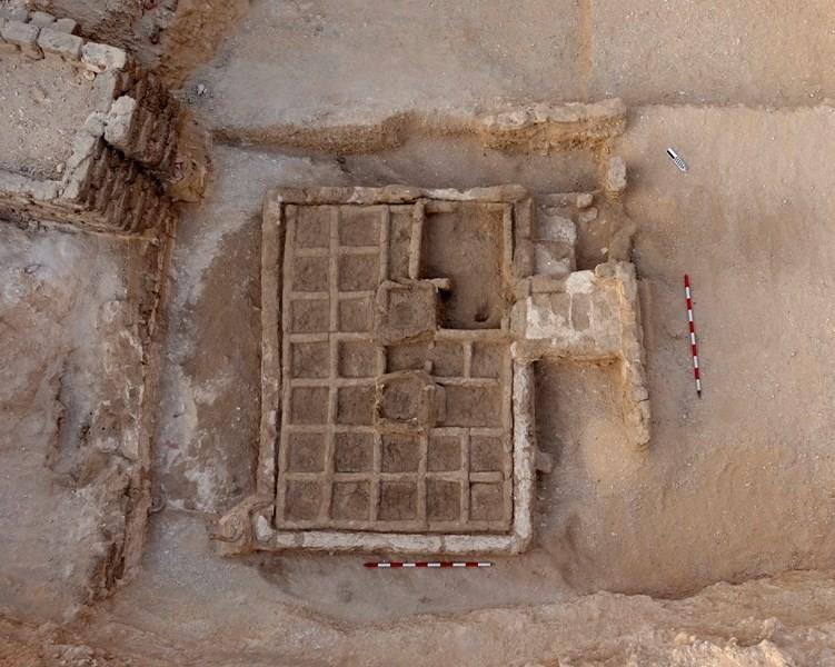 ｴｼﾞﾌﾟﾄ･ﾅｲﾙ川流域に4000年前のﾐﾆ植物園 種子も発見