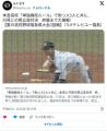 【悲報】高野連さん 競技人口激減に苦しんでるとはいえこれは酷いw