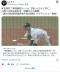 【悲報】高野連さん 競技人口激減に苦しんでるとはいえこれは酷いw
