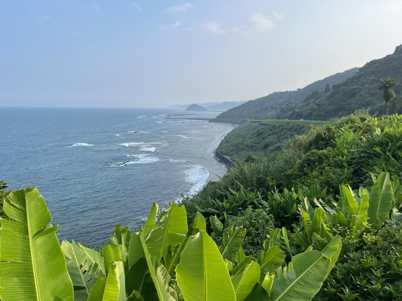 道の駅青島のイメージ画像