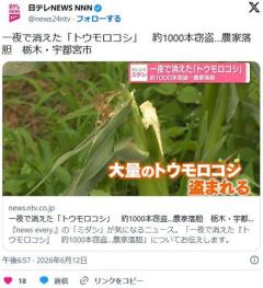 一夜で消えた「トウモロコシ」　約1000本窃盗…農家落胆　栃木・宇都宮市