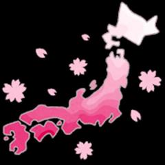「ソメイヨシノ」の起源は日本と指摘され、怒り心頭の韓国