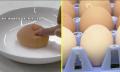 【悲鳴】「エッグショック」再び?卵の卸売価格高騰…過去最高値2023年に迫る 養鶏場で異変“夏バテ”で卵の殻薄く ブヨブヨの「軟卵」は「ニワトリの故障」