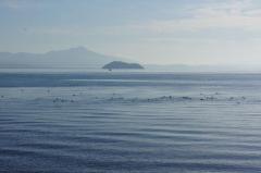 静寂の琵琶湖のイメージ画像